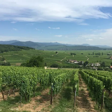 La Tour Gites Du Florimont Ingersheim Exterior foto