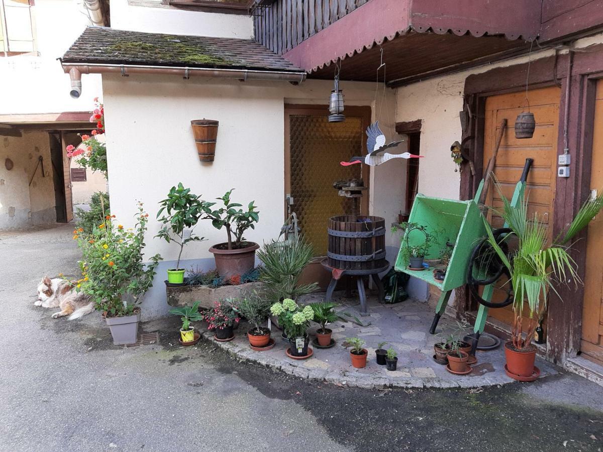 Ferienhaus La Tour Du Florimont